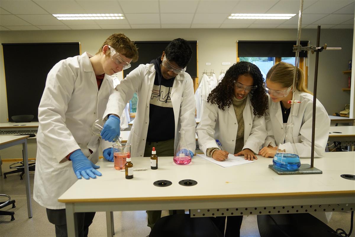Pupils working in science lab - Klikk for stort bilde